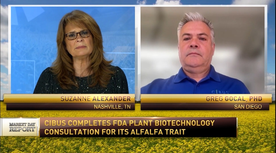 FDA Completes Review of Cibus’ Gene Edited Lignin Alfalfa